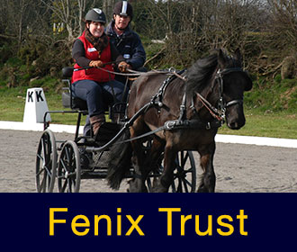 The Fenix Training Trust