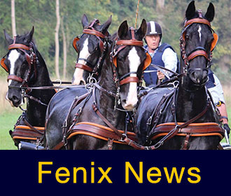 Fenix News